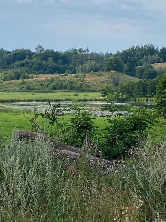 Dom Z Basenem I Widokiem Na Lake Radun 외부 사진
